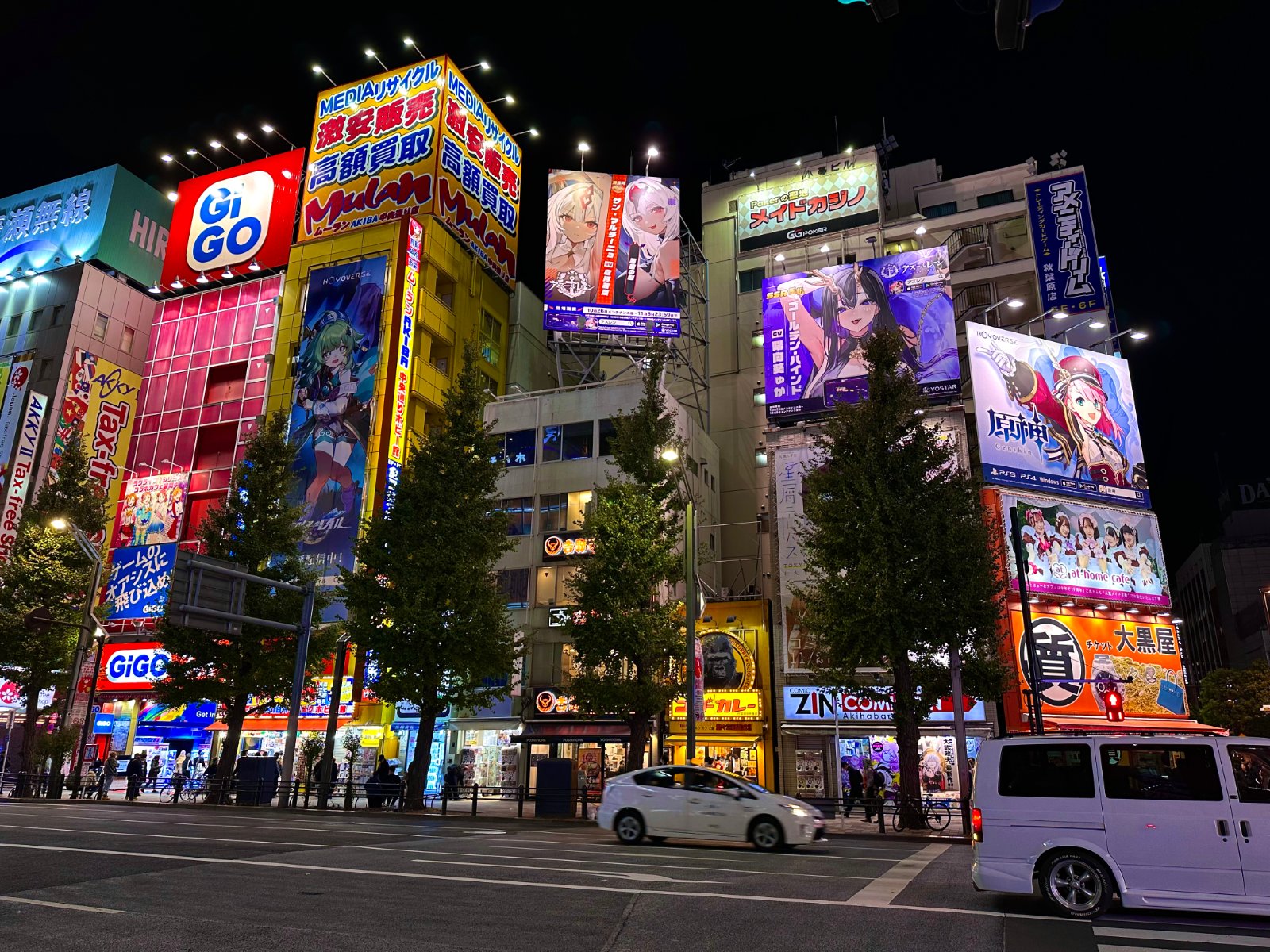 Maid and Theme Cafes