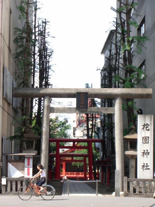 Torii gate at Hanazono Shrine