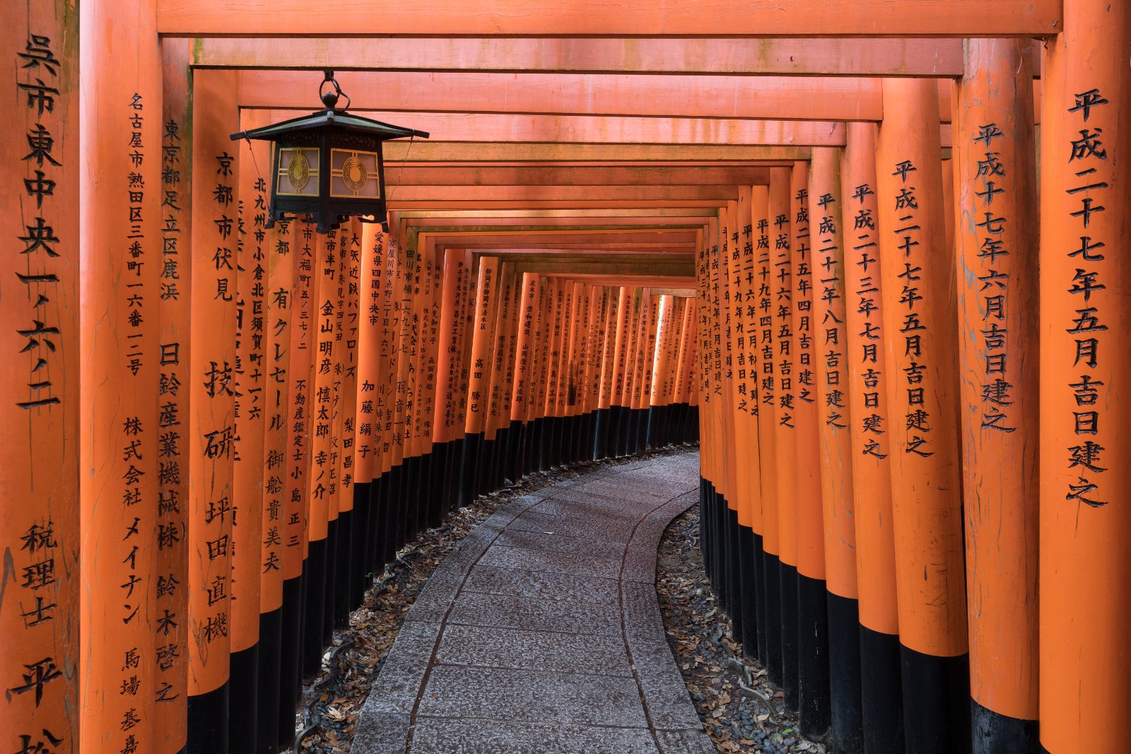 Torii gate path at a Kyoto shrine